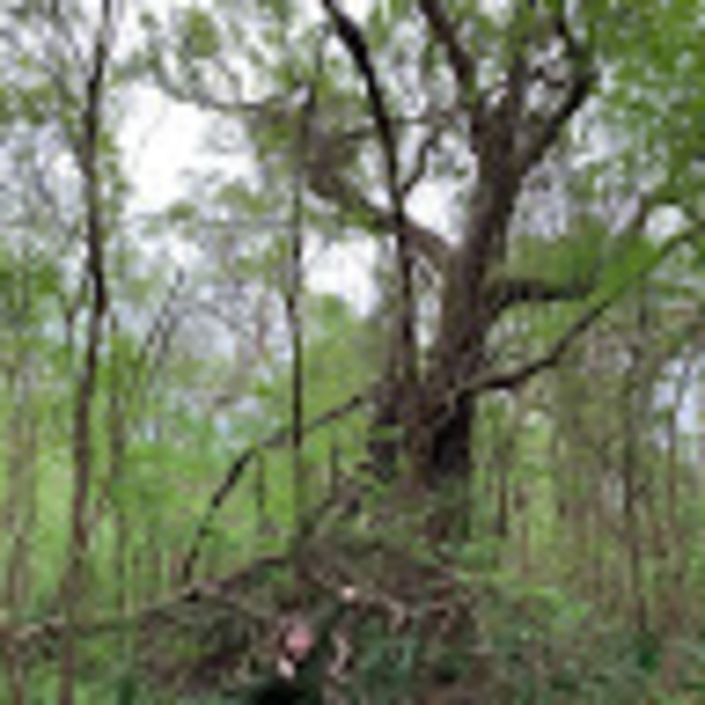 Meet your Posher, Ava